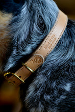 Spud's Collar - Narrow Band