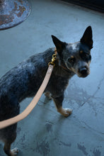 Spud's Leash