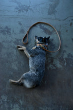 Spud's Leash