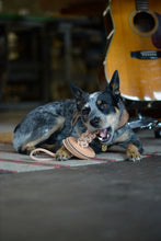 Spud's Chew Chew